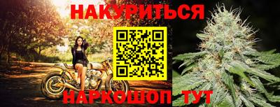 сатива Обь